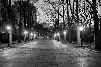 Illuminated street lights in park at night