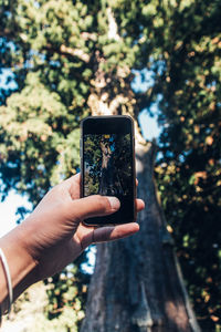 Hand holding mobile phone