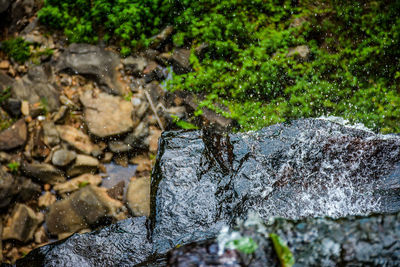 Close-up of water flowing from pipe