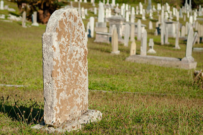 Close-up of cemetery