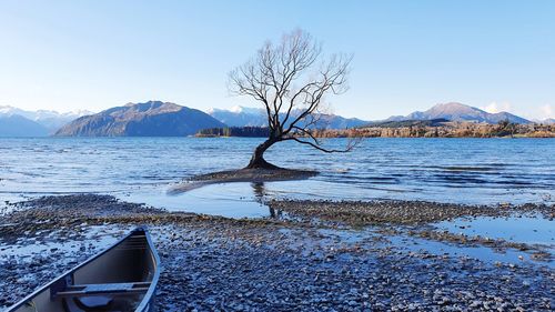 Bare tree by lake against sky during winter