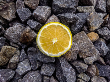 High angle view of fruits on rock