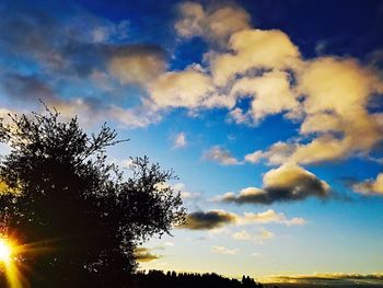 Silhouette trees against sky during sunset