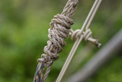 Close-up of rope tied on wooden post