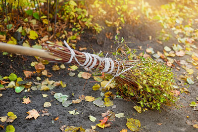 Close-up of caterpillar on ground