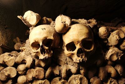 Close-up of human skull