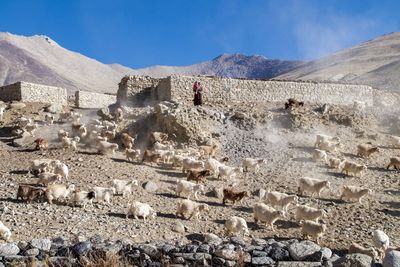 Man on landscape against mountain