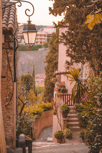Street light and trees by building