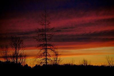 Silhouette trees against dramatic sky during sunset