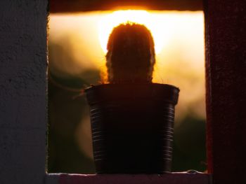 Rear view of woman standing by window during sunset