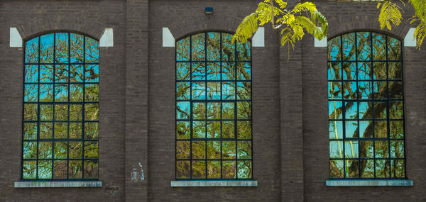 Glass window of building