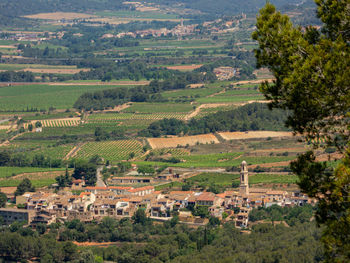 High angle view of agricultural field by houses and trees