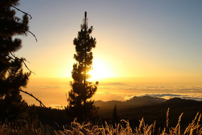 Scenic view of silhouette field against sky during sunset