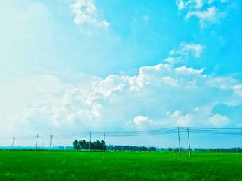 Electricity pylon on grassy field