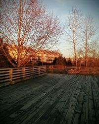 View of bare trees in winter