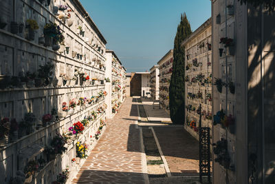 Italian cemetery 