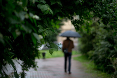 Rear view of people walking on tree