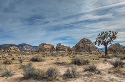 Rock formations on landscape against sky