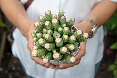 Midsection of woman holding flowering plant