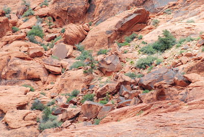 Rock formations in a desert