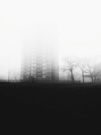 Trees on field in foggy weather