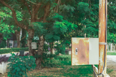Close-up of mailbox on tree trunk