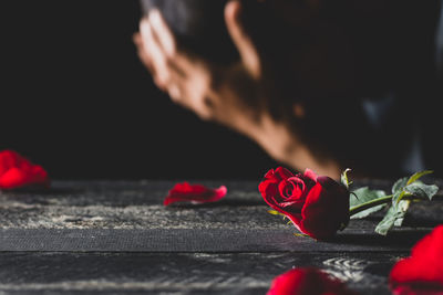 Close-up of red rose against blurred background