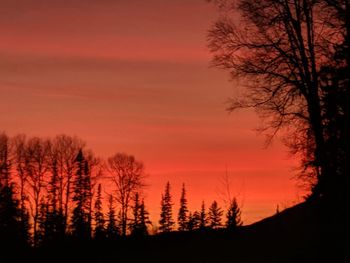 Silhouette trees against sky during sunset