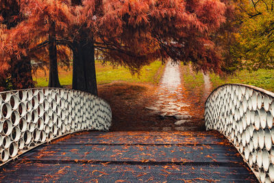 Footpath amidst trees in forest during autumn