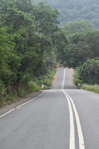 Empty road along trees