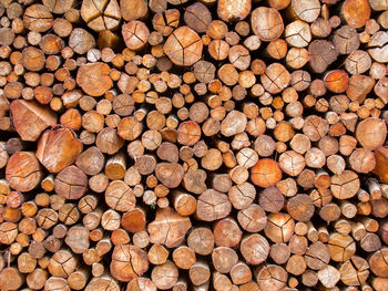 Full frame shot of logs