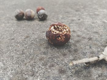 Close-up of dried fruits on the pavement