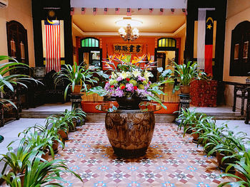 Potted plants in restaurant