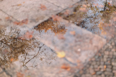 Close-up of weathered wall