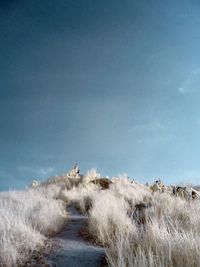 Scenic view of landscape against blue sky