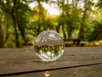 Close-up of crystal ball on table against trees