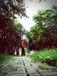 Rear view of woman walking on footpath