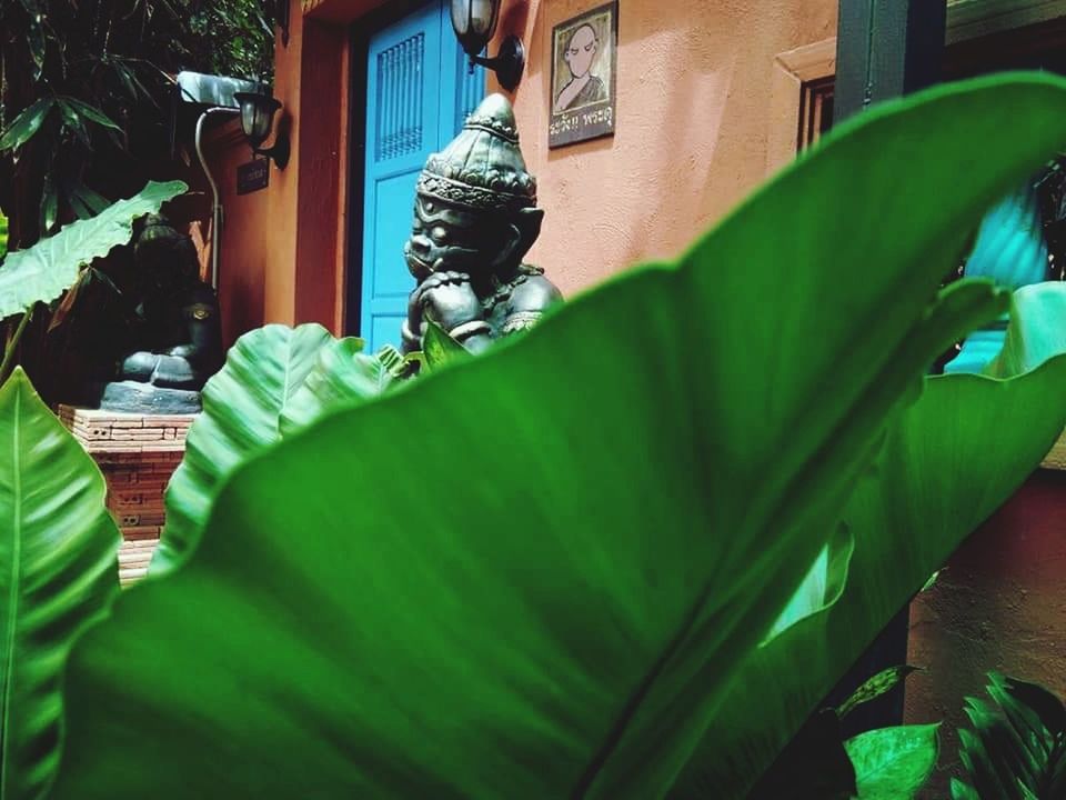 green color, day, plant, leaf, architecture, plant part, built structure, no people, nature, art and craft, representation, creativity, building exterior, outdoors, selective focus, seat, growth, wood - material, sculpture, animal