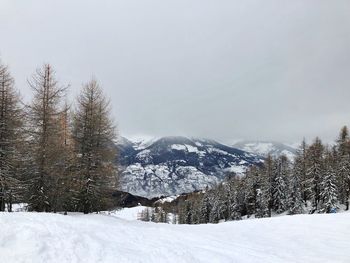 Trees on snow covered landscape against sky