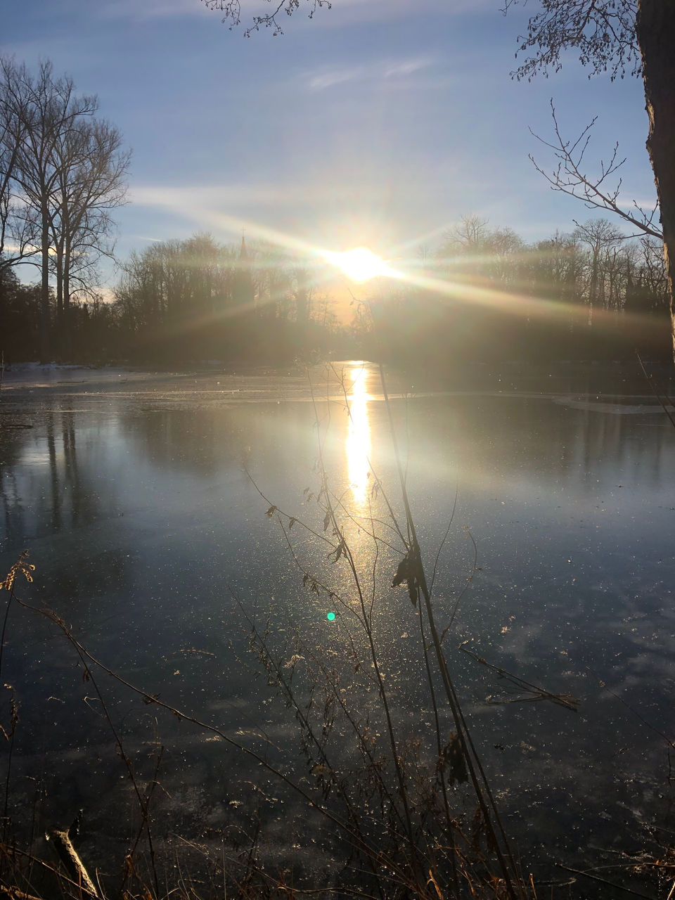 reflection, morning, water, tree, sky, nature, sunlight, plant, lake, tranquility, beauty in nature, sun, scenics - nature, dawn, sunrise, tranquil scene, environment, no people, cloud, mist, landscape, sunbeam, outdoors, forest, light, land, non-urban scene, idyllic, fog, lens flare, day, winter, back lit