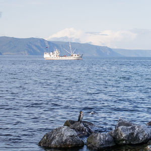  lake baikal, irkutsk region, russia. cormorant on dark stones. in background is white fishing boat.