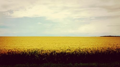 Scenic view of field against cloudy sky