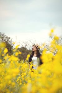 Woman looking away while standing amidst yellow flowers on field