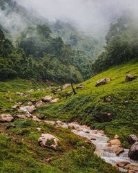 Scenic view of landscape