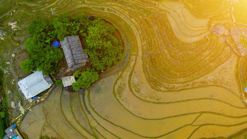 High angle view of trees on landscape