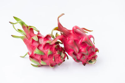 Close-up of red chili pepper against white background