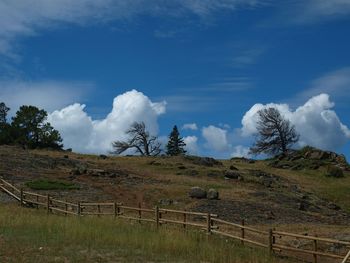 Scenic view of field against cloudy sky