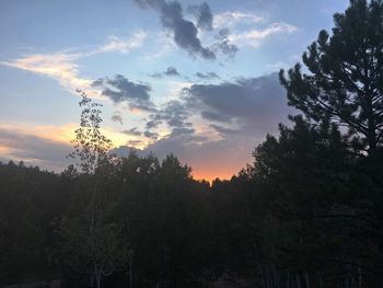 Low angle view of silhouette trees against sky at sunset