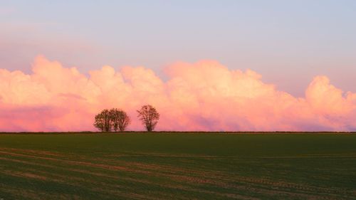 Scenic view of field against sky during sunset