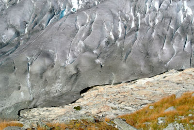 Scenic view of landscape